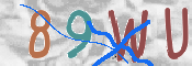 Güvenlik Kodu